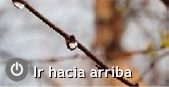 Ir hacia arriba