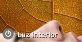 Luz interior