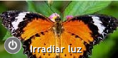 Irradiar luz