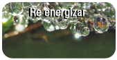 Re energizar